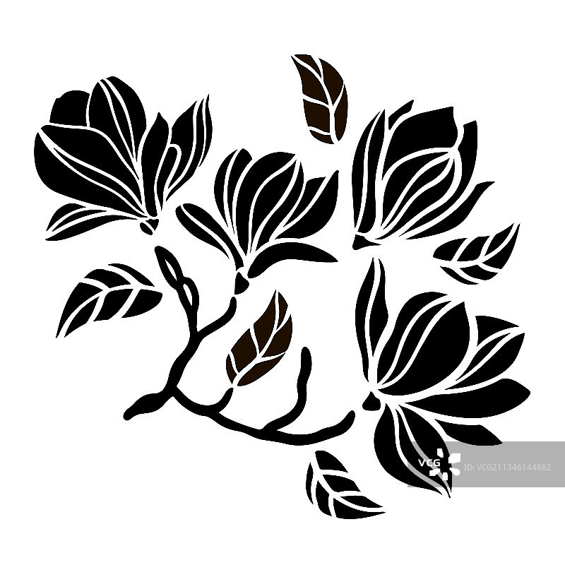 玉兰花枝轮廓剪贴画图片素材