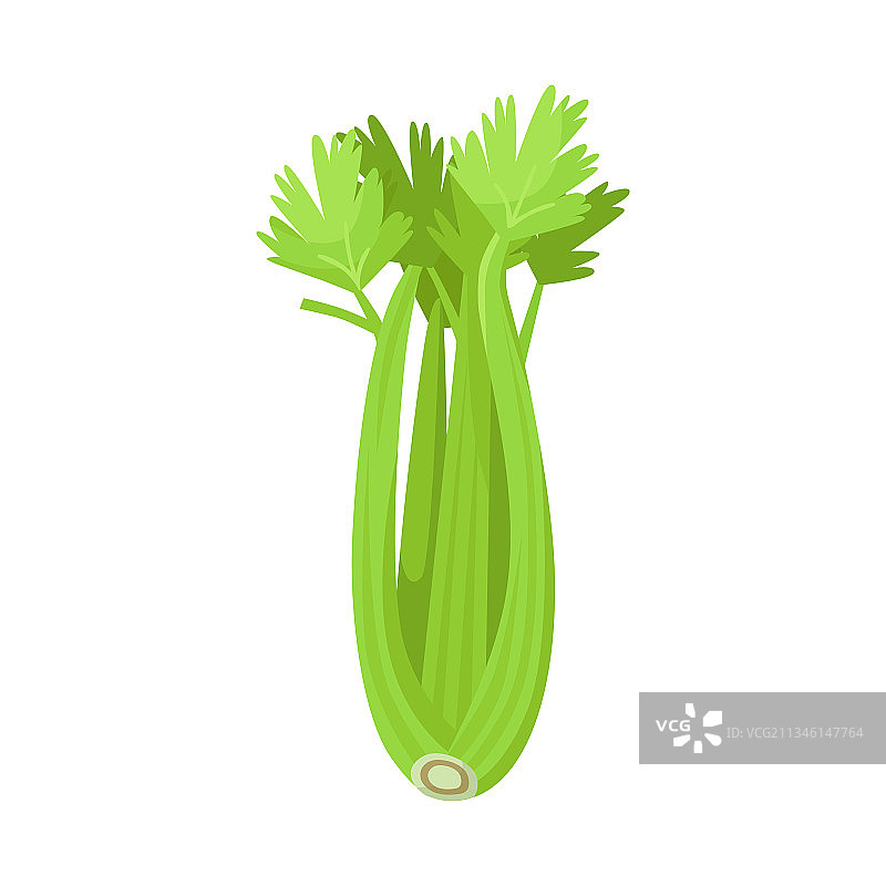芹菜和束符号图片素材