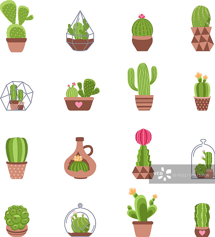仙人掌图标设置图片素材