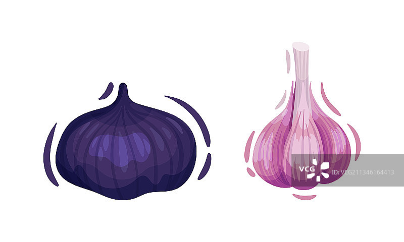 紫色蔬菜与大蒜和洋葱图片素材