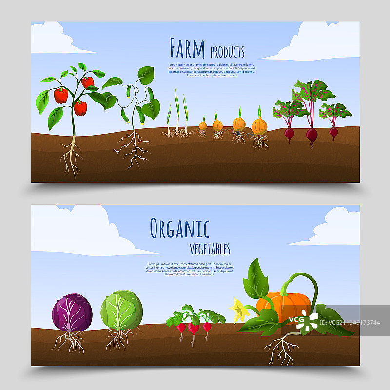 健康食品banner图片素材