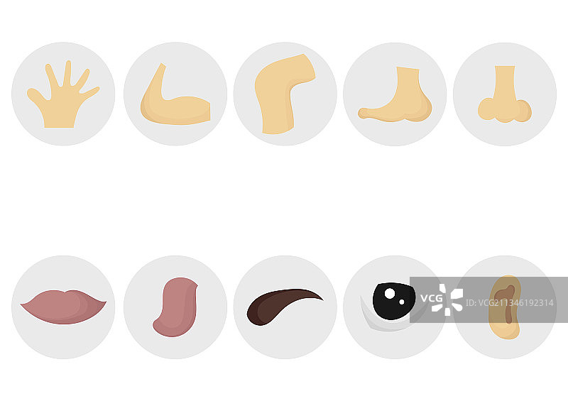 人体部位合集图片素材