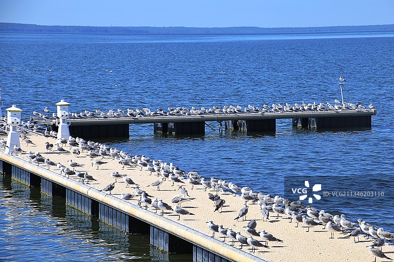 古巴西恩富戈斯海港美景图片素材
