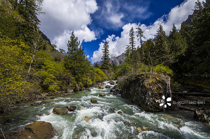 四姑娘山长坪沟图片素材
