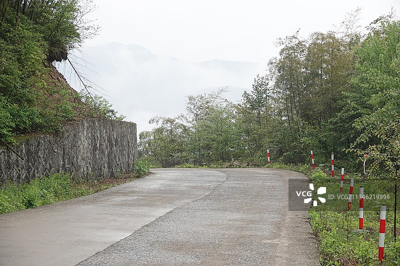 公路，竹林，自然风貌图片素材