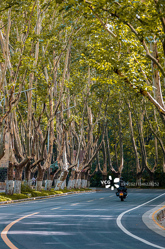 金陵之秋图片素材
