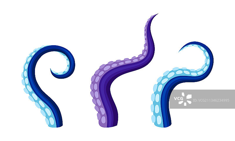 蠕动和蜿蜒的章鱼触手或肢体图片素材