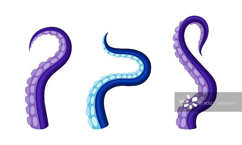 蠕动和蜿蜒的章鱼触手或肢体图片素材