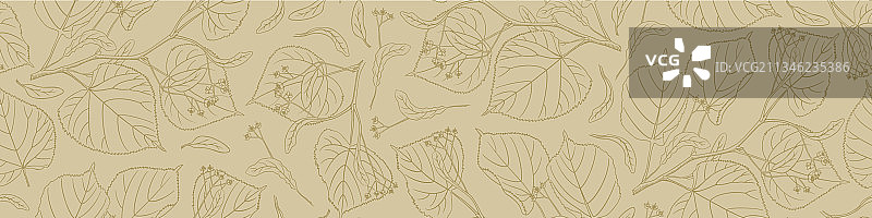 椴树花无缝横向边框图片素材