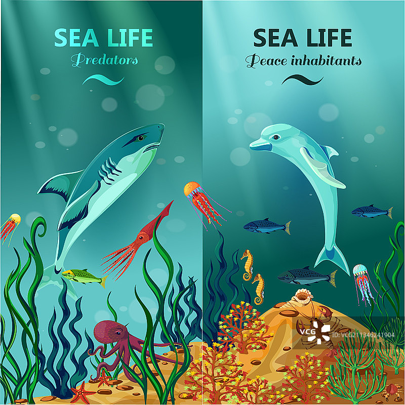 海底生物竖版banner图片素材