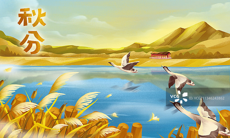 二十四节气之秋分图片素材