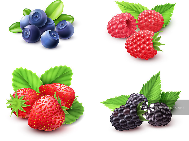 逼真浆果素材图片素材