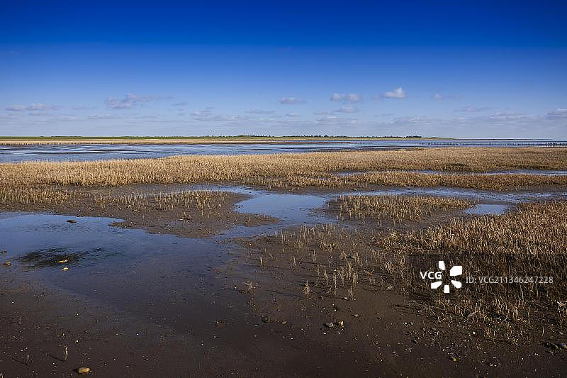 国家公园，瓦登海，在丹麦附近的北海，岛屿，Mandoe，日德兰半岛，丹麦，欧洲图片素材