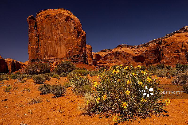 纪念碑谷公园路，亚利桑那州，美国，北美洲图片素材