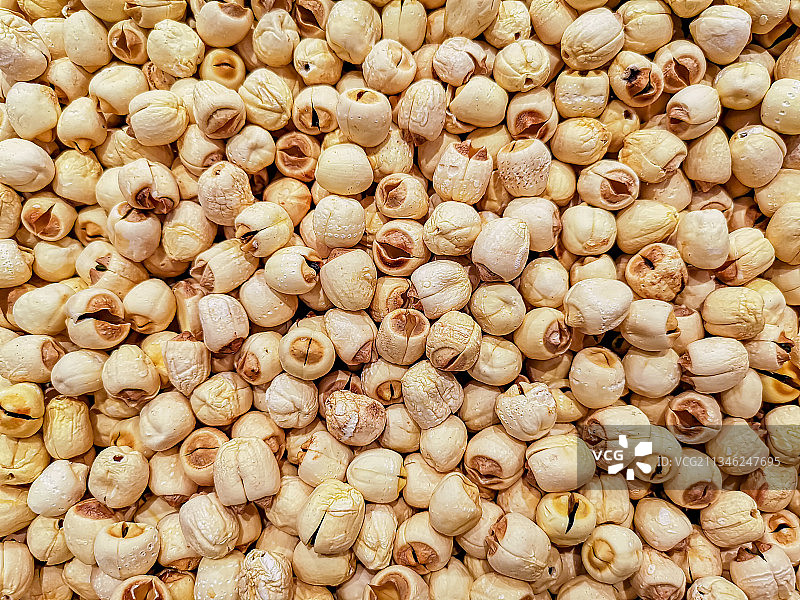 荷花莲子特写图片素材