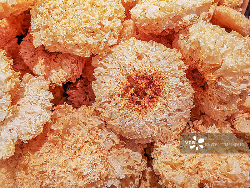 干燥银耳特写图片素材