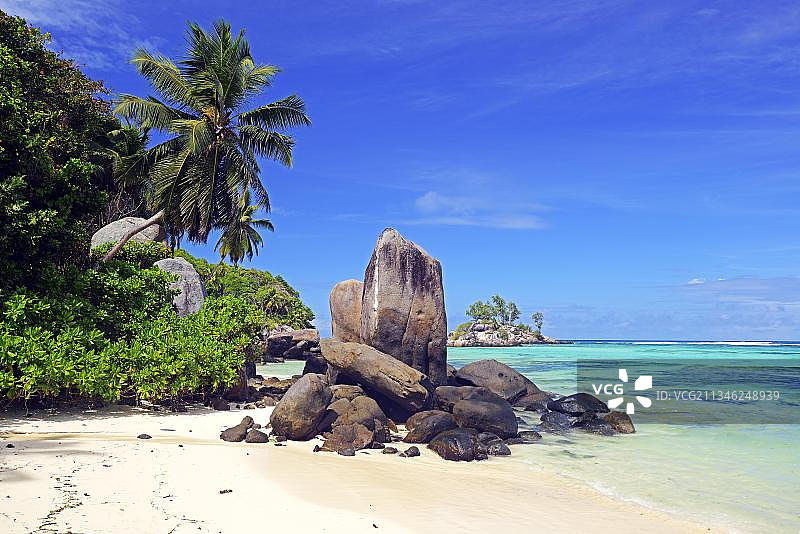 塞舌尔马埃岛皇家海滩的椰子树和花岗岩图片素材