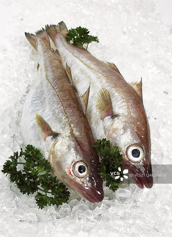 鳕鱼和欧芹冰鲜图片素材