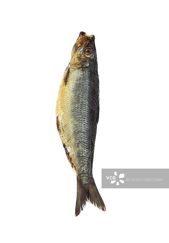 鲱鱼或膨胀鲱（Clupea harengus），白色背景下的烟熏鱼图片素材