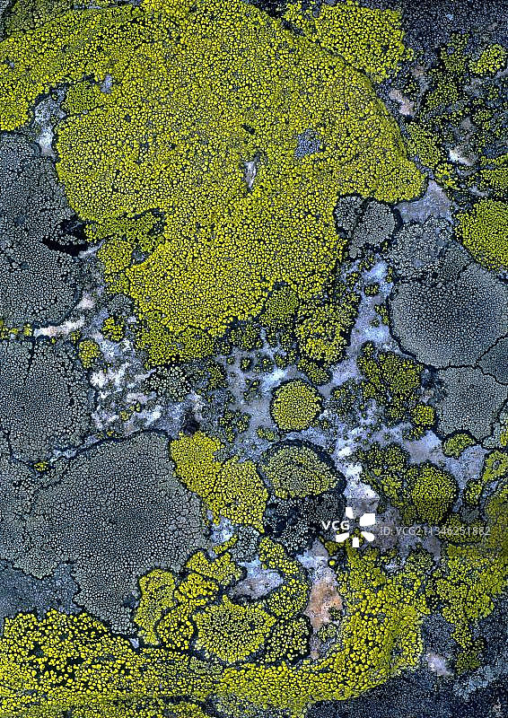 地衣地图图片素材