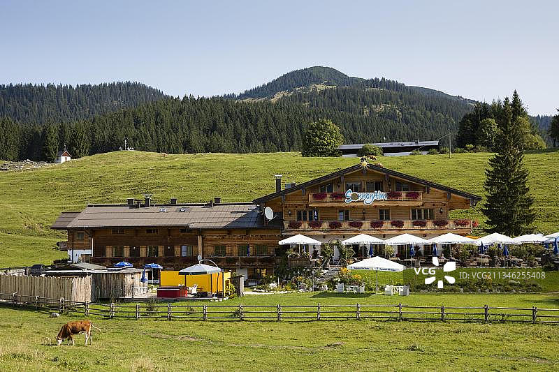 索南阿尔姆，温克尔莫斯阿尔姆，赖特伊姆温克尔，基姆高，上巴伐利亚，巴伐利亚，德国，欧洲图片素材