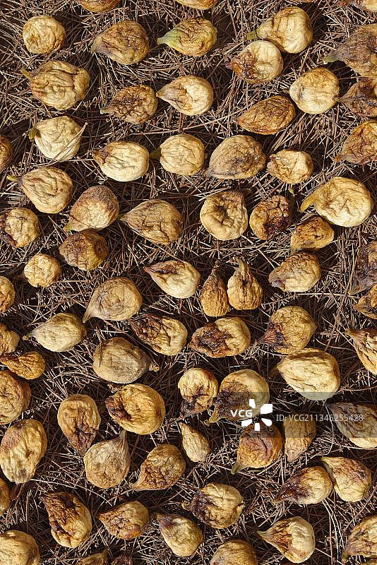 在阳光下晒干的普通无花果，葡萄牙图片素材