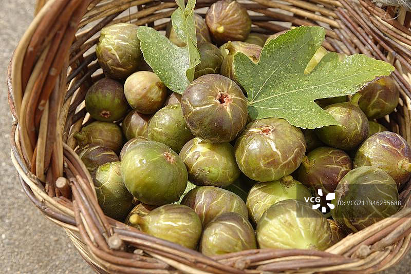 葡萄牙欧洲中心地区的新鲜无花果图片素材