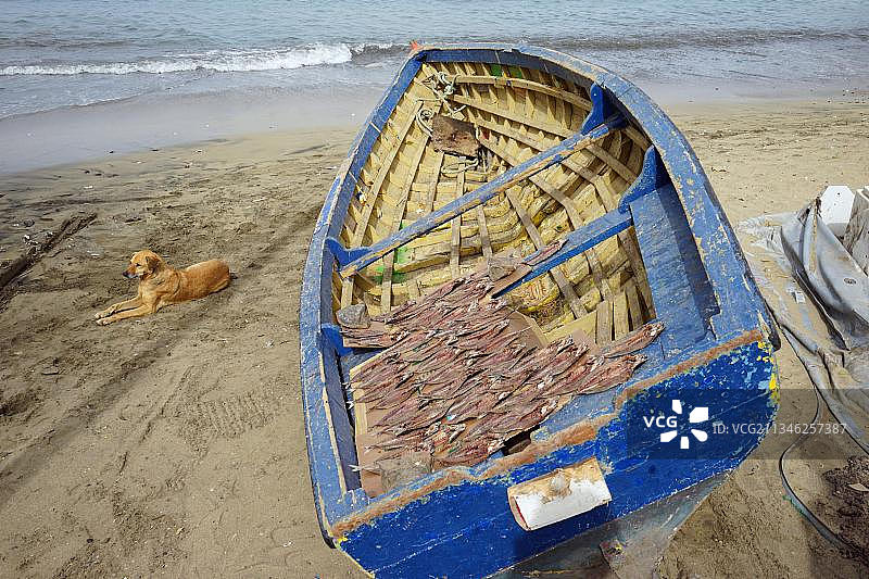 佛得角圣维森特岛Mindelo海滩上晾晒鱼片的渔船图片素材