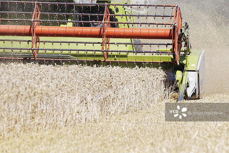 联合收割机收割小麦图片素材