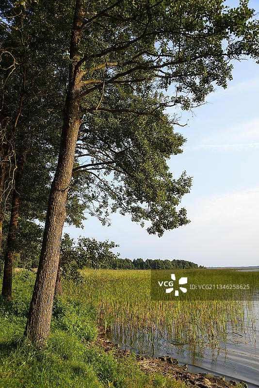 达尔金湖，马祖里湖区，瓦尔明斯科-马祖尔斯基省，波兰，欧洲图片素材