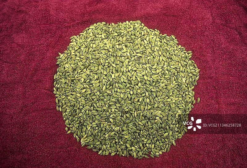 小豆蔻荚，印度，亚洲图片素材