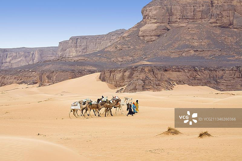 利比亚沙漠中阿卡库斯山脉的骆驼队图片素材