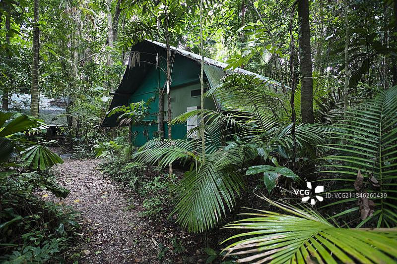 澳大利亚昆士兰州丹翠国家公园的雨林帐篷营地图片素材