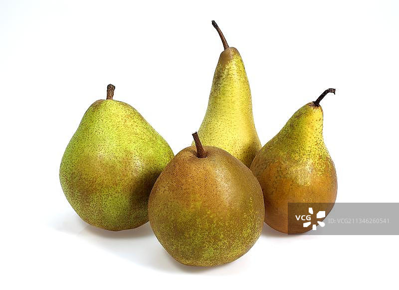哈迪奶油梨、康科德梨、科米斯梨和威廉姆斯梨（梨属），白色背景下的水果图片素材