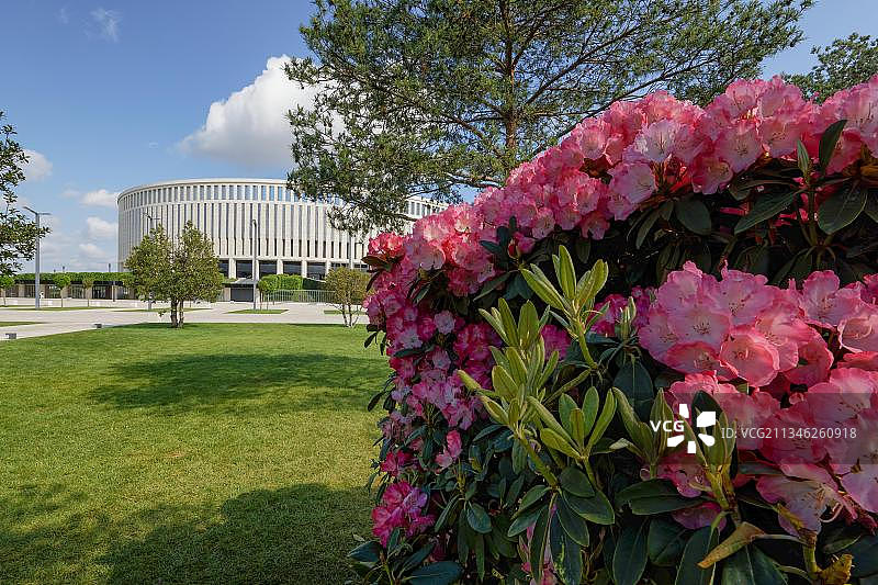 加利茨科戈公园的开花植物，克拉斯诺达尔，俄罗斯，欧洲图片素材