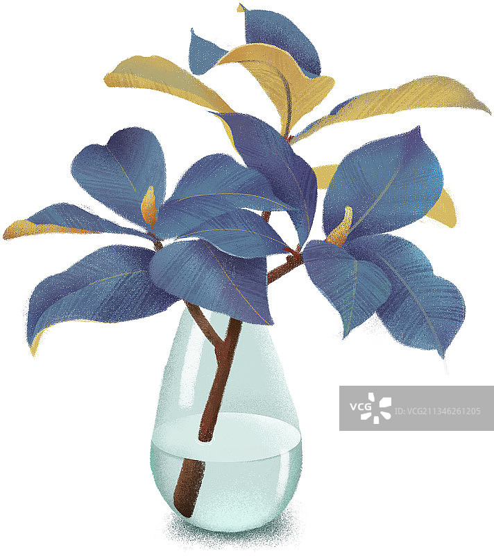 叶子，花瓶，插花，家居，玻璃图片素材