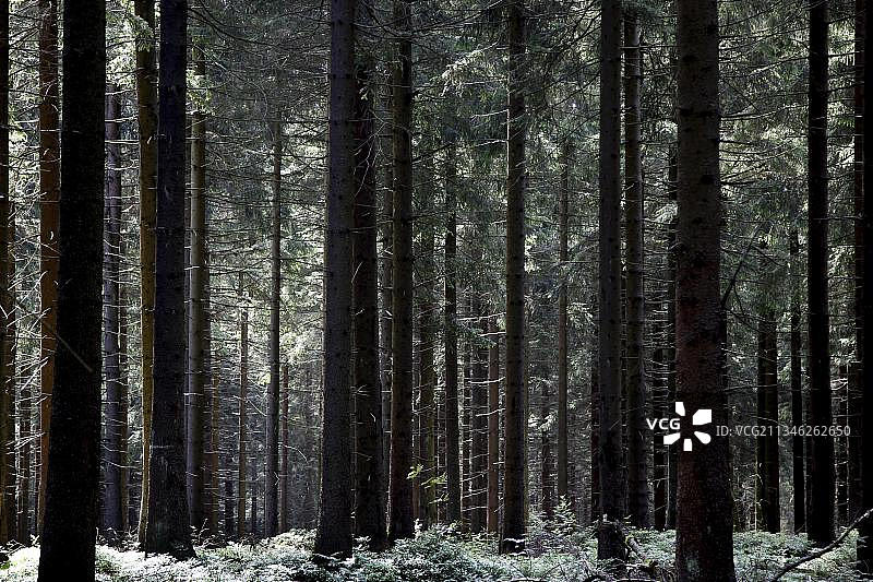 德国图林根州石板山风景图片素材