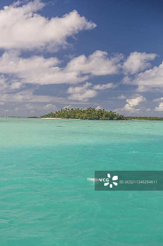 拉罗汤加岛和库克群岛艾图塔基泻湖的白色沙滩和棕榈树海滩图片素材