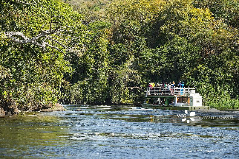 在尼罗河上的穆奇森瀑布（又名卡巴雷加瀑布）前巡游的游船，乌干达穆奇森瀑布国家公园图片素材
