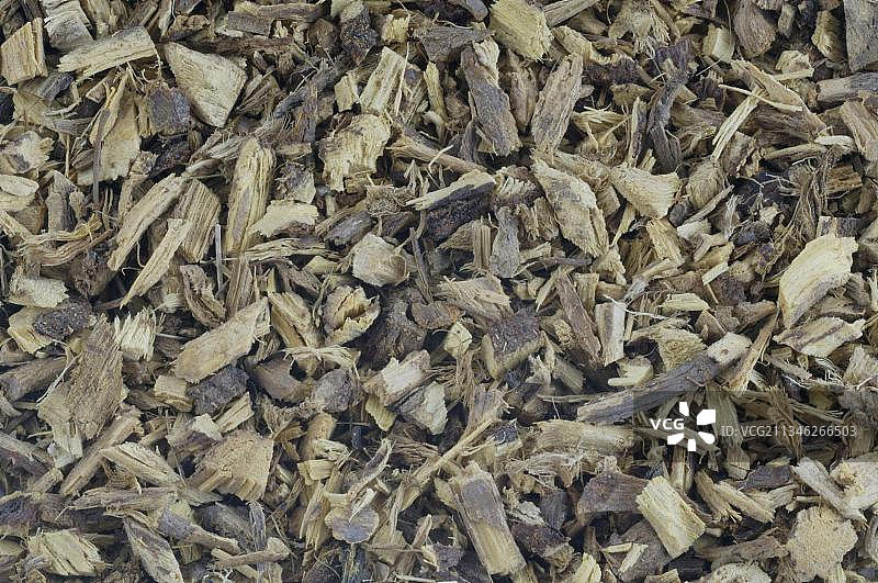 光果甘草图片素材