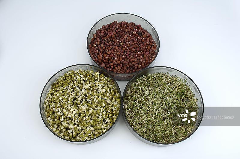 碗中的绿豆、红豆和苜蓿芽图片素材