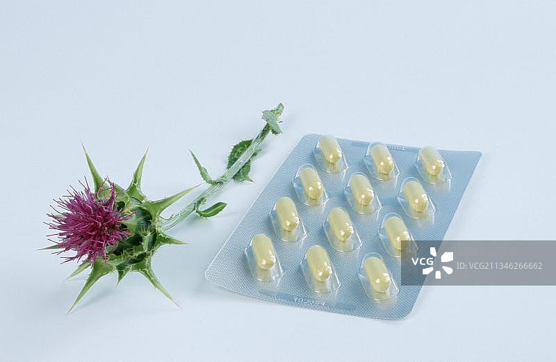 水飞蓟和药片图片素材