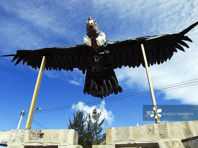 安第斯木制秃鹰，秘鲁卡伊尤马省图片素材