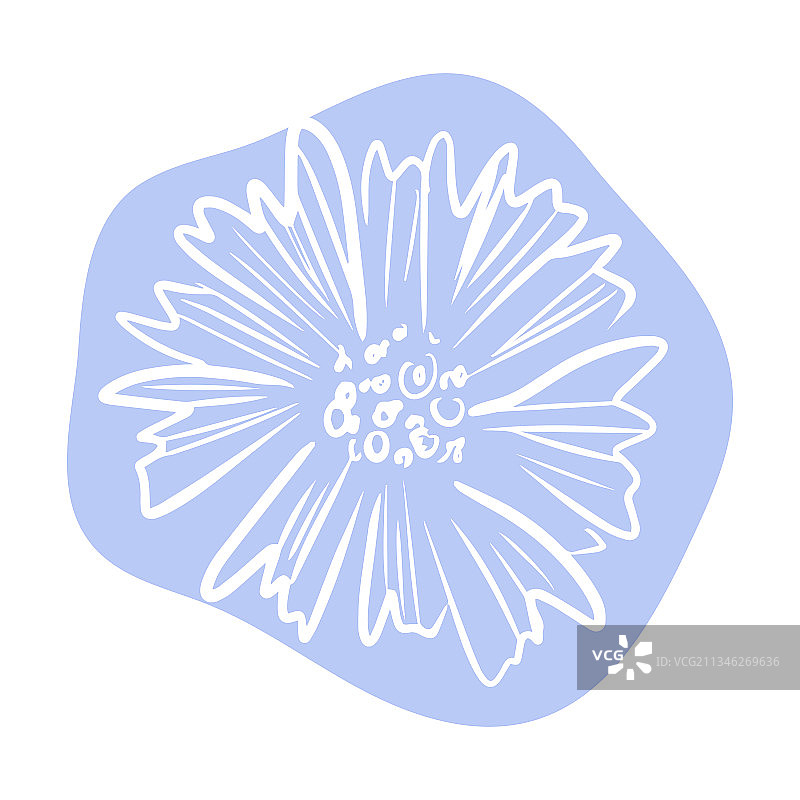 手绘抽象形状的矢车菊图片素材