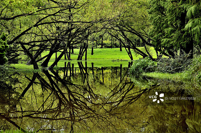 Rain after Green图片素材