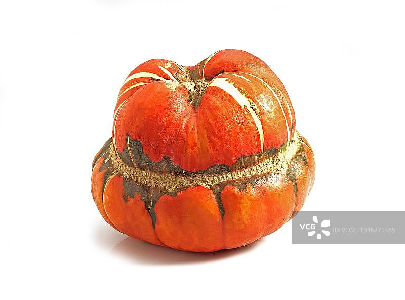 巨型南瓜图片素材