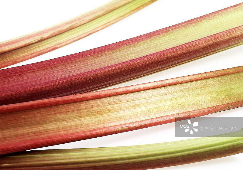 白色背景下的大黄图片素材