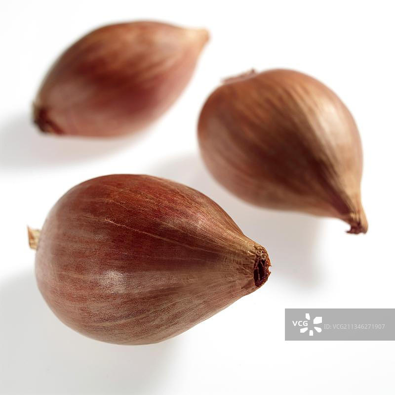 白色背景上的聚伞葱图片素材