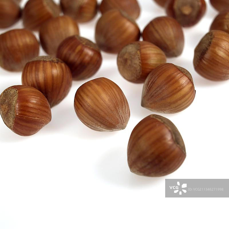 榛子图片素材