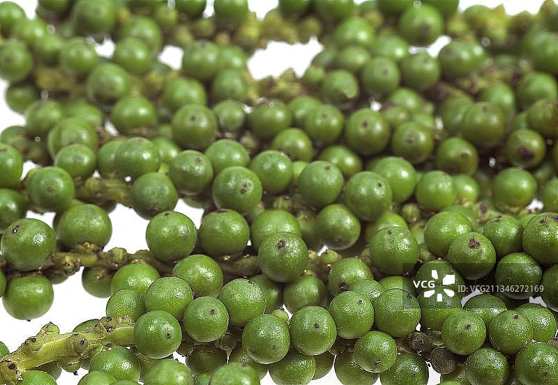 真胡椒，黑胡椒（Piper nigrum），胡椒灌木，胡椒科，新鲜绿色胡椒粒，白色背景下的浆果图片素材